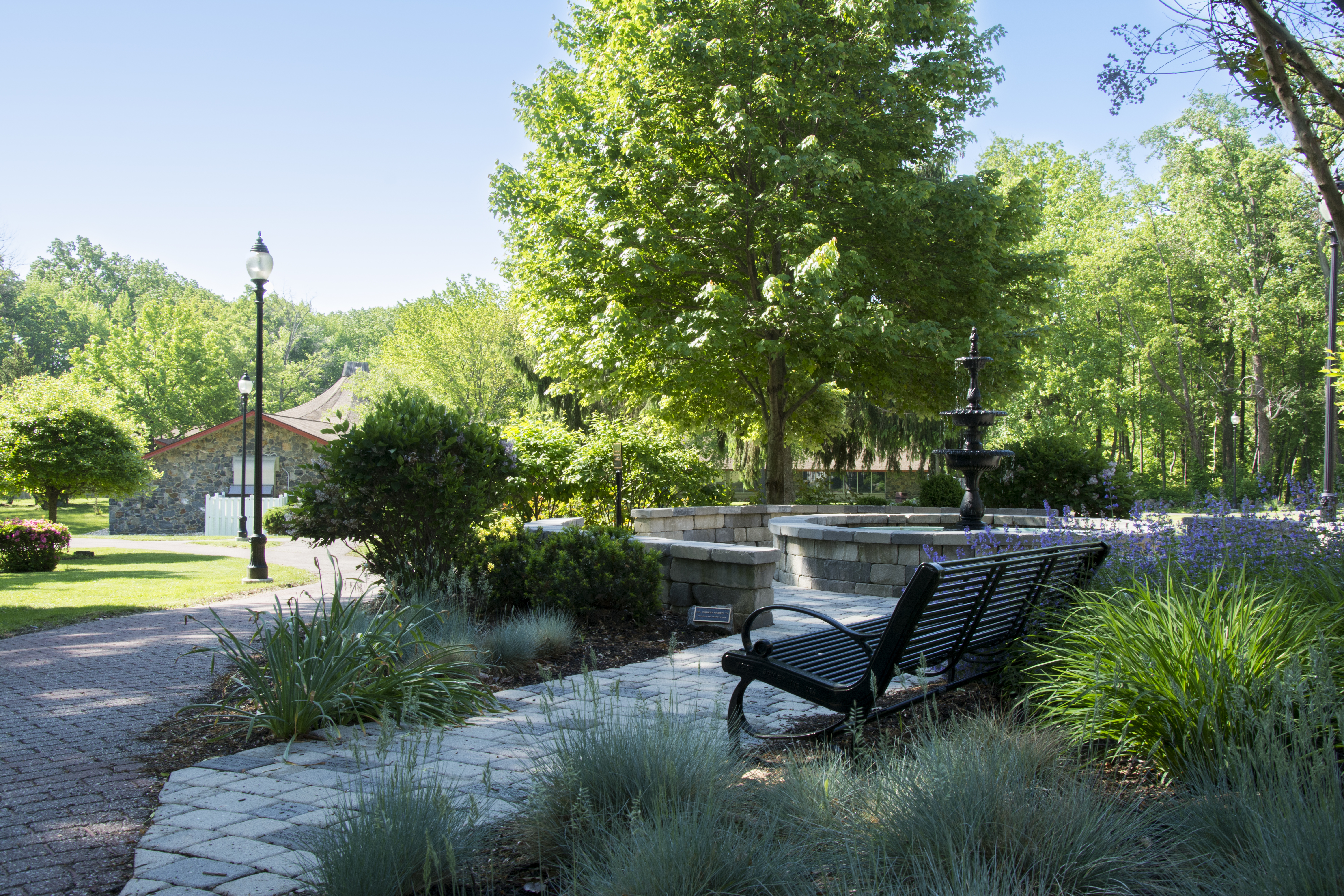 Bench and Campus View